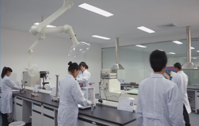 Our Professional Team