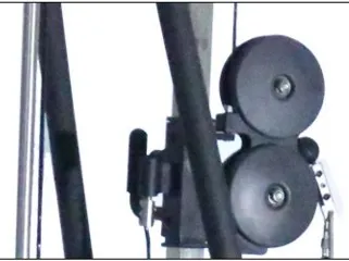 Gym Fitness Equipment