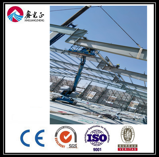 Best Design Low Cost Steel Structure Farm Storage (BYSS-220521015)