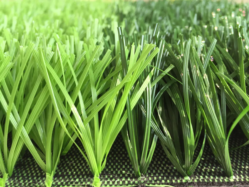 Sports Field Application