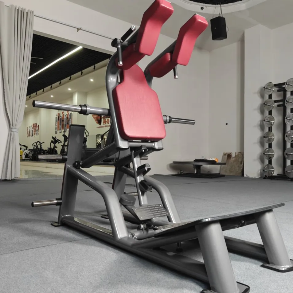 Gym Equipment View 2