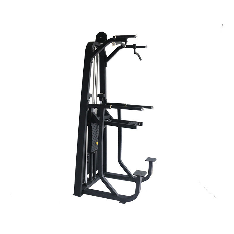 Professional Commercial Strength Equipment Body Building Pin Loaded Exercise Indoor Home Gym Sports Machine Assist DIP Chin Commercial Gym Fitness Equipment