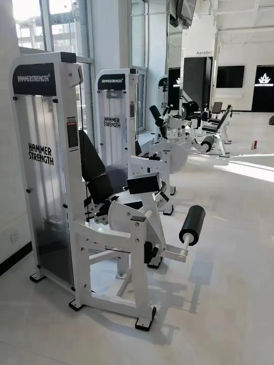 Seated Leg Curl Detail