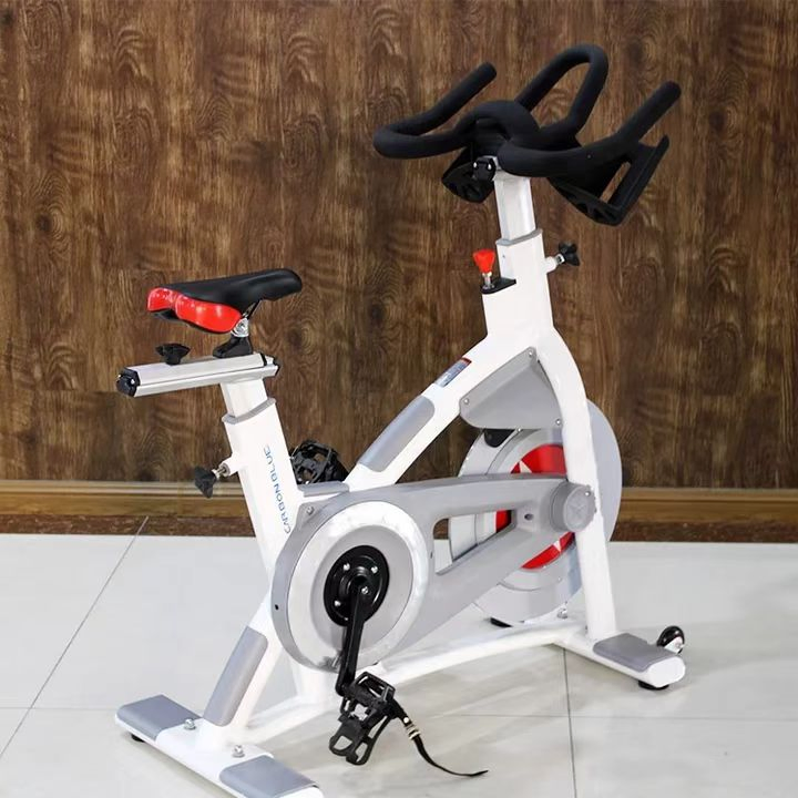 Hot Schwinn Commercial Spinning Bike for Spinning Bike (SK-6519A)