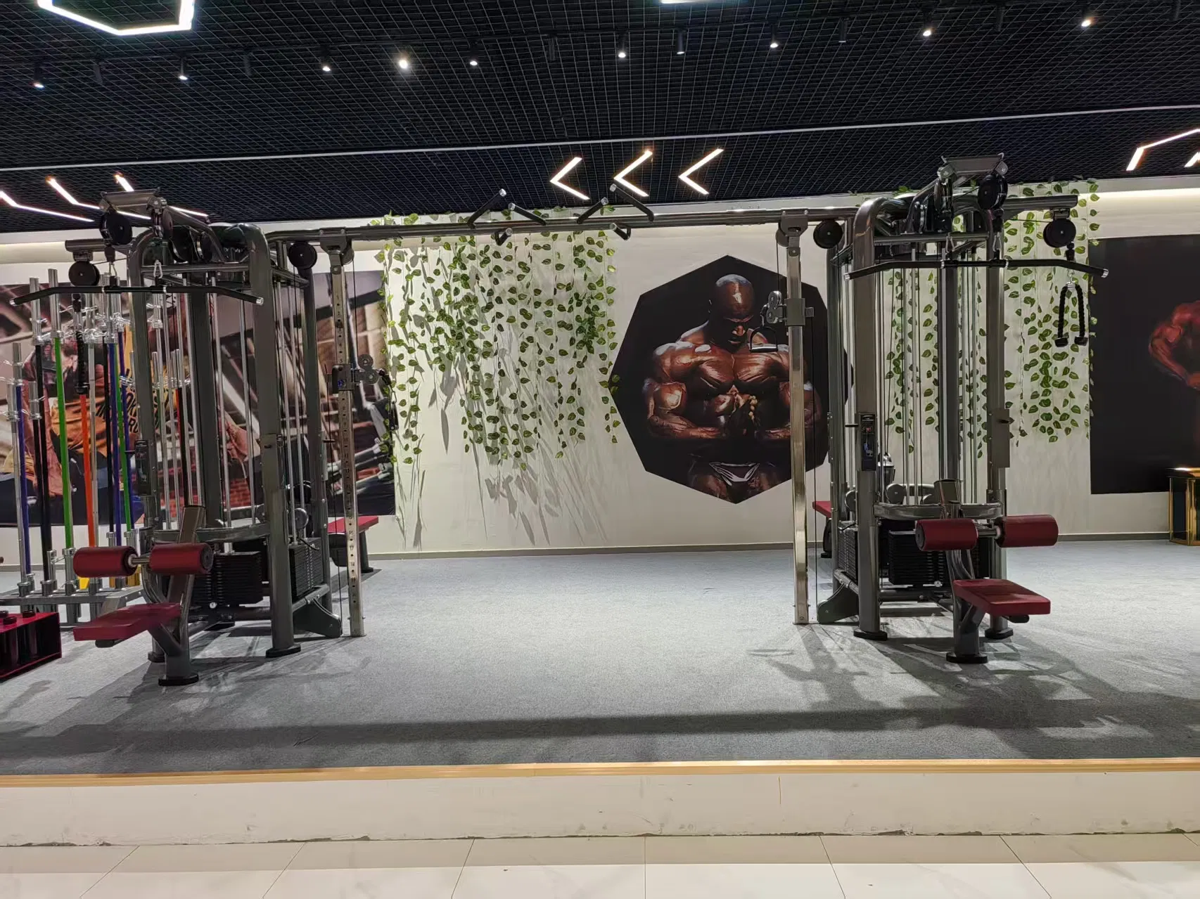 Multi Function Fitness Equipment