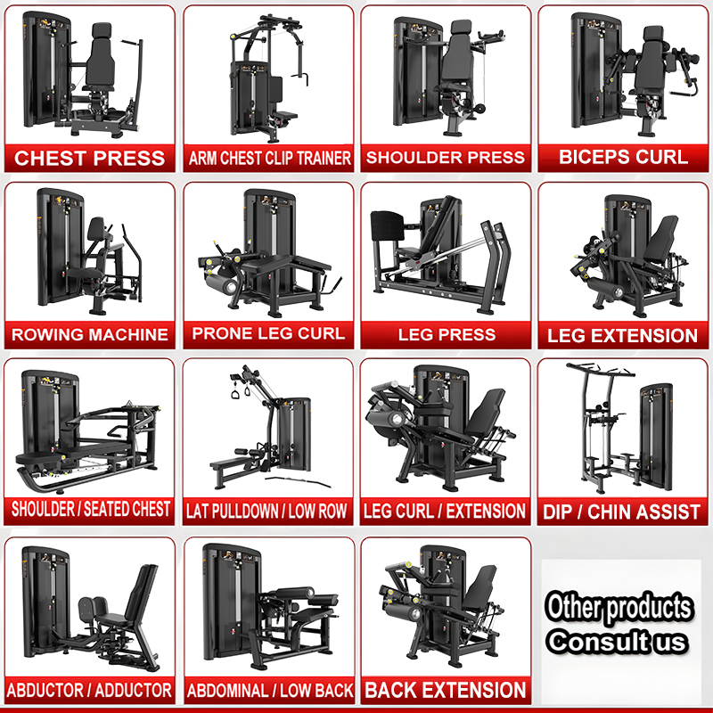 Dual Function Strength Training Seated Leg Extension Fitness Equipment Commercial Gym Machine Prone Leg Curl