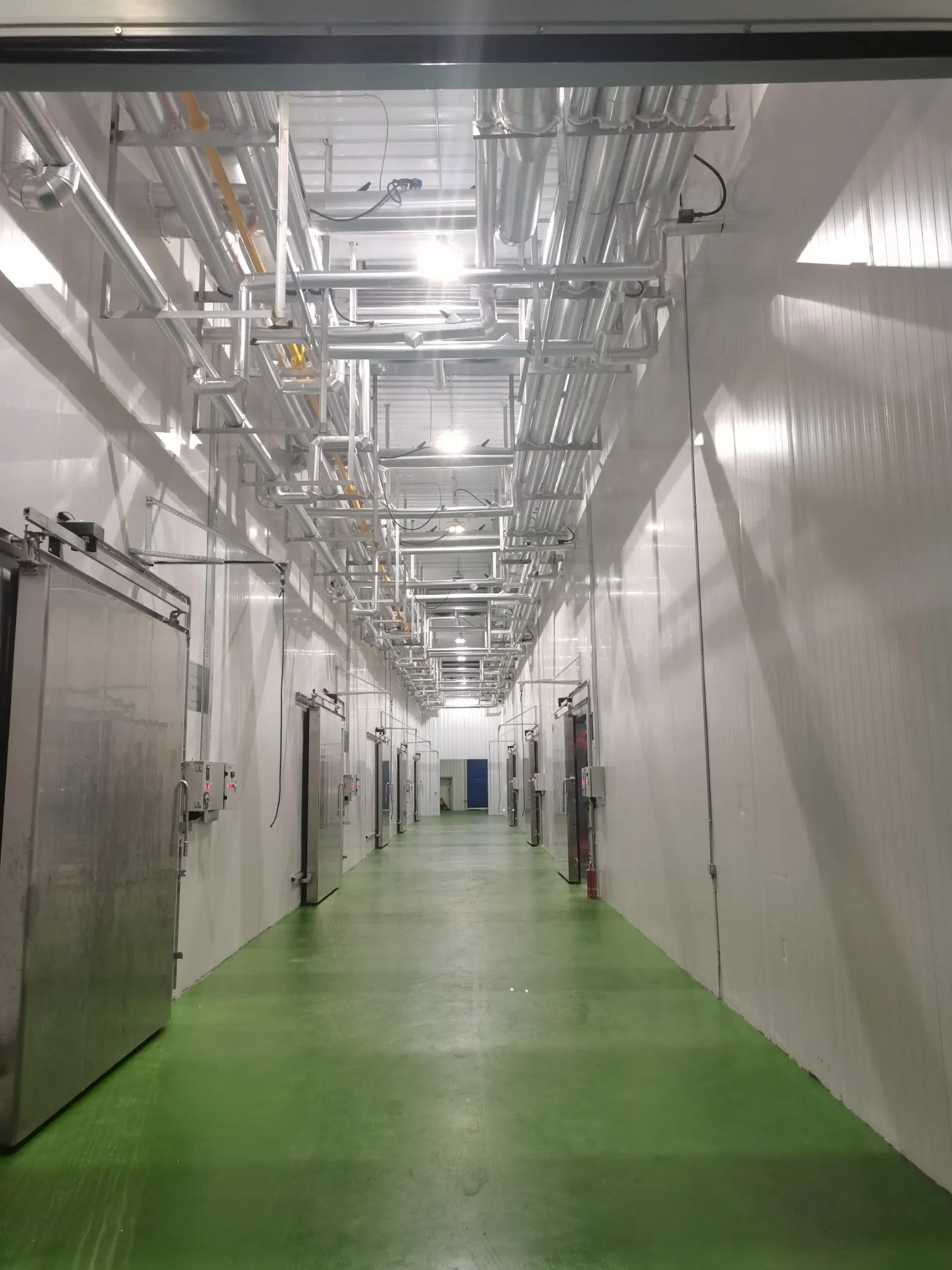 Xingx Popular Used Light Steel Structure House/Warehouse/Workshop/Sports Center/Cold Storage