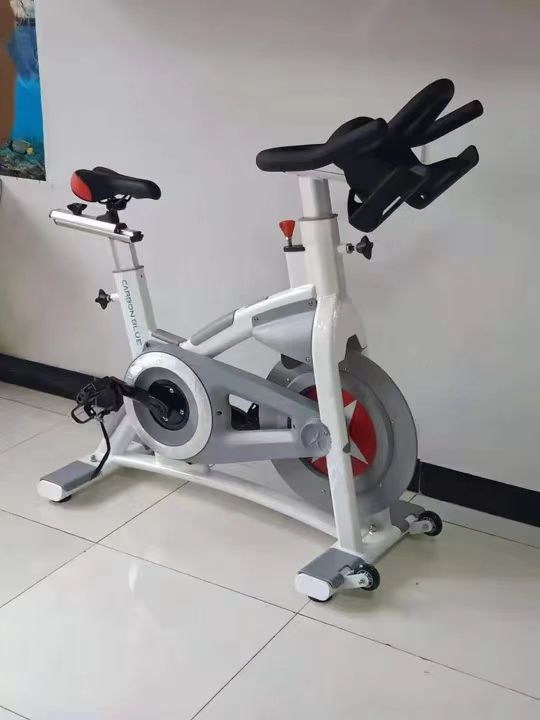 Hot Schwinn Commercial Spinning Bike for Spinning Bike (SK-6519A)