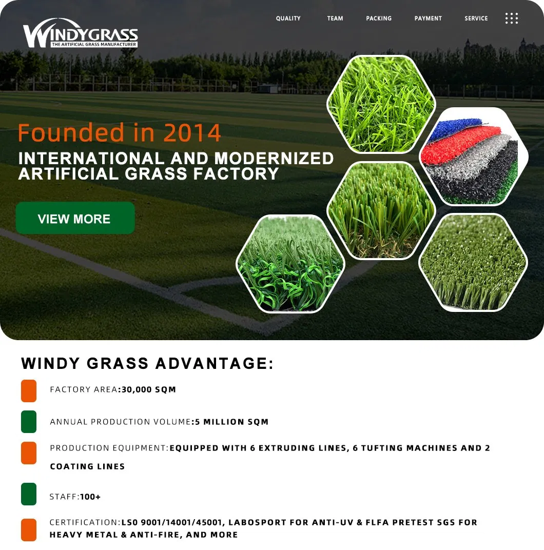 Professional Sport Field Tennis Court