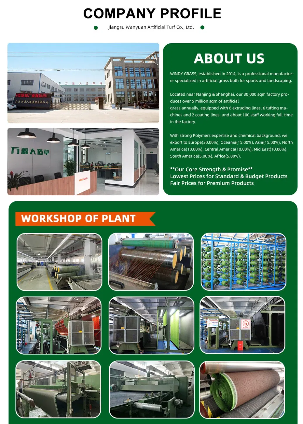 Professional Sport Field Tennis Court