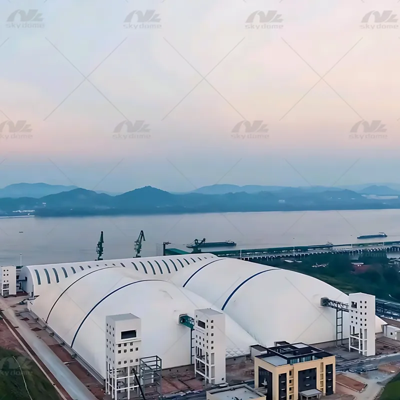 Large Fully-Enclosed Air-Supported Structure