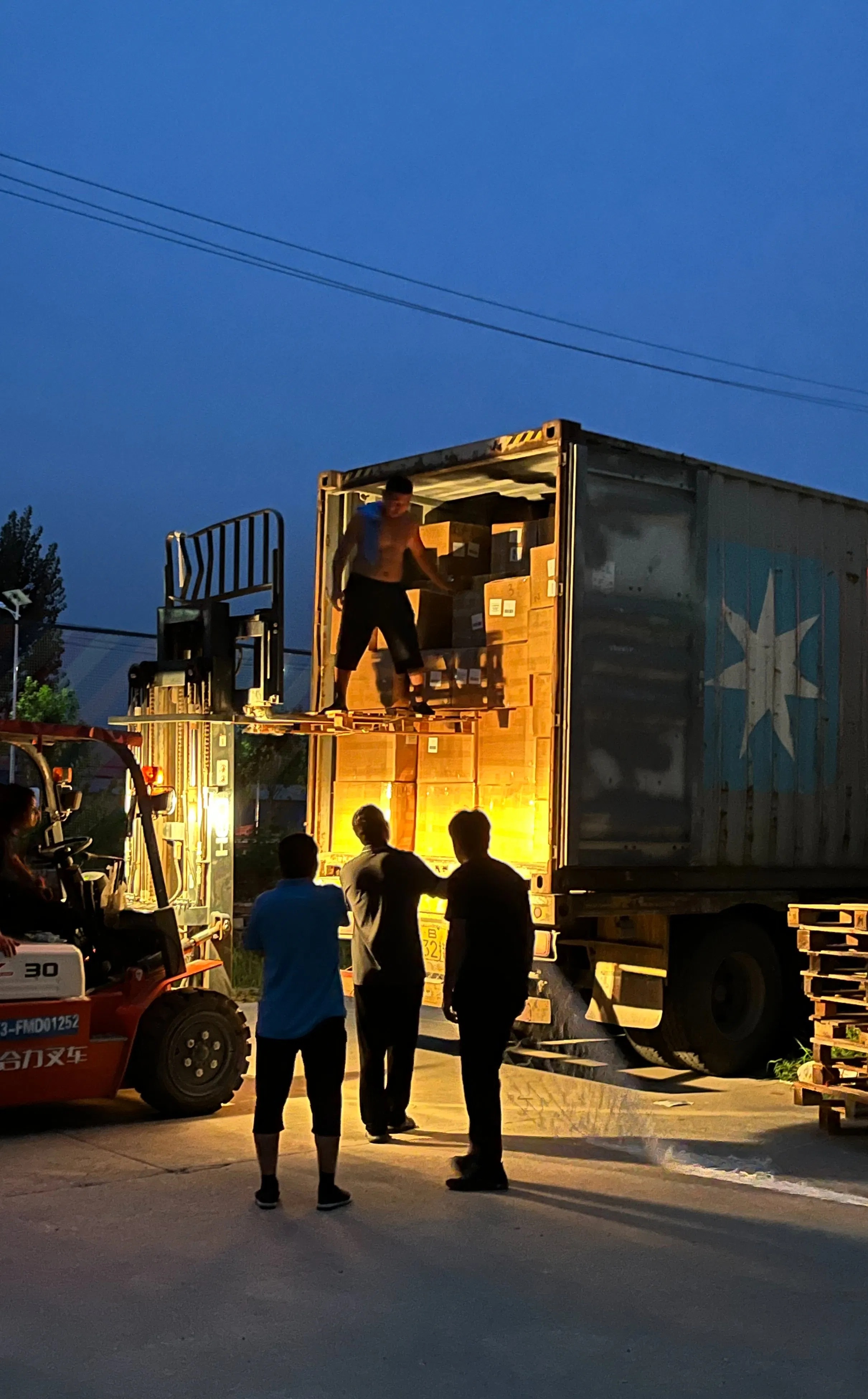 Safety Net Packing 2