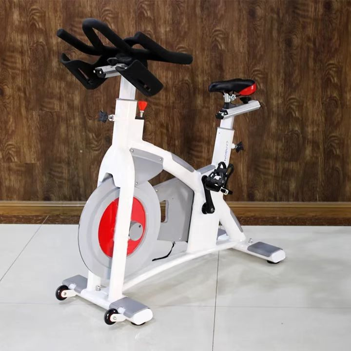 Hot Schwinn Commercial Spinning Bike for Spinning Bike (SK-6519A)