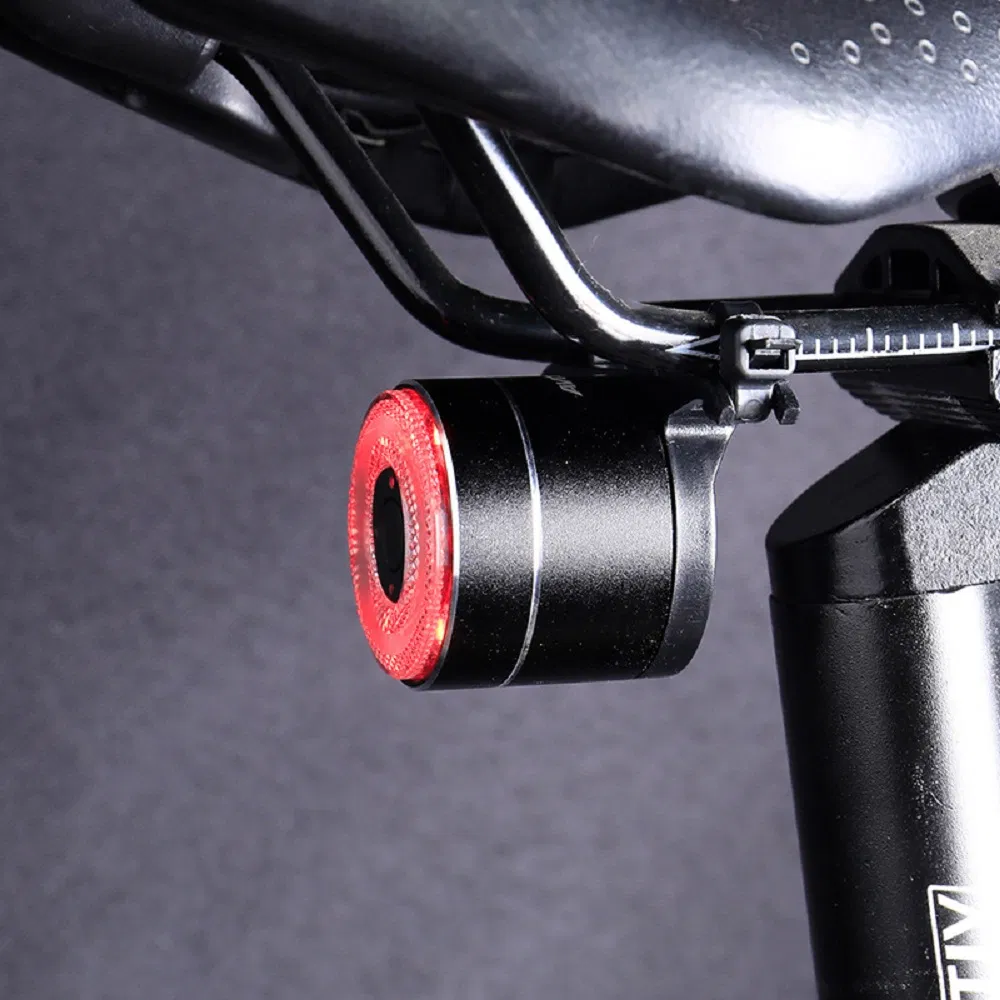 Bicycle Rear Light 2