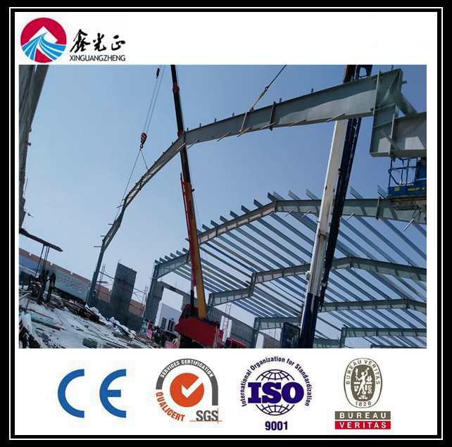 Best Design Low Cost Steel Structure Farm Storage (BYSS-220521015)