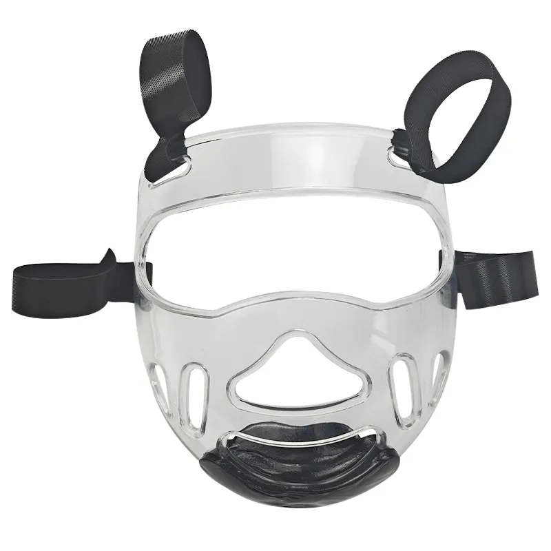 Martial Arts Face Gear 1