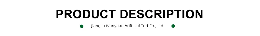 Professional Sport Field Tennis Court