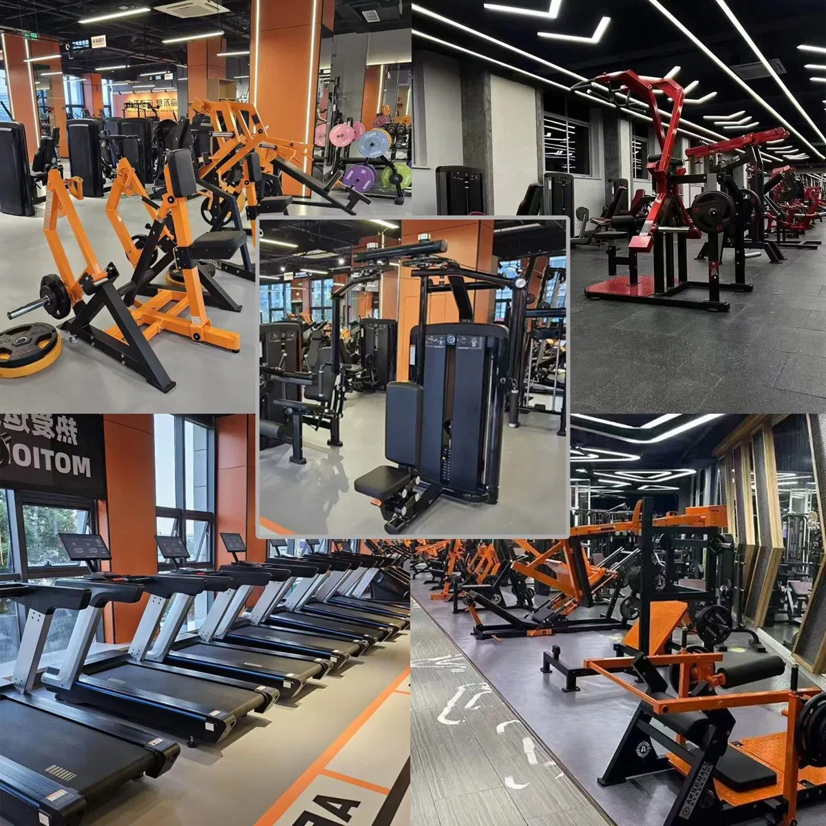 Heavy Duty Home &amp; Gym Fitness Training Equipment Commercial Gym Machine Fitness Equipment Pin Load Gym Equipment Pec Rear Deltoid Fly