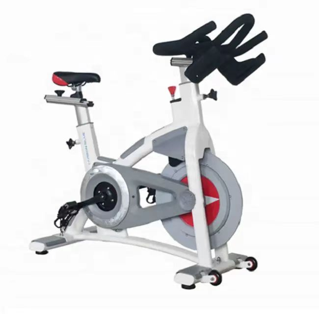 Hot Schwinn Commercial Spinning Bike for Spinning Bike (SK-6519A)