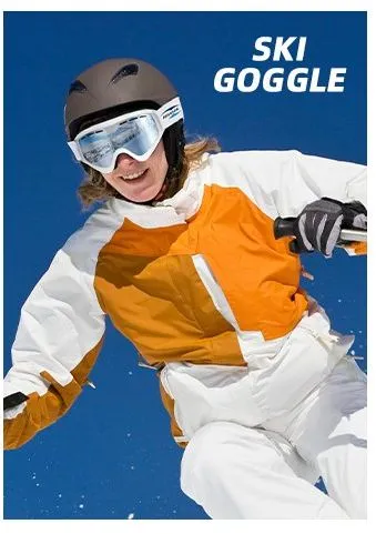 Ski Goggles