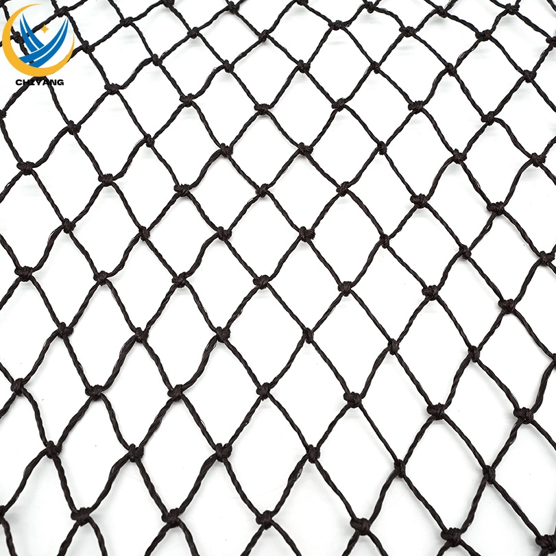 Nylon/PE/HDPE/Polyester/Plastic/Knotless/Knotted /Scaffolding/Building Construction/Trailer Cargo/Sports/Playground/Anti Falling/Fishing/ Safety Catch Net
