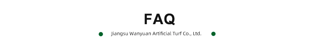 Professional Sport Field Tennis Court