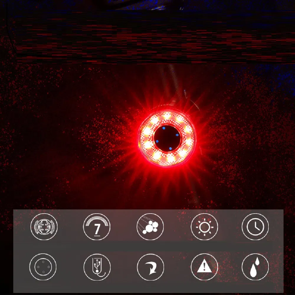 Bicycle Rear Light 6