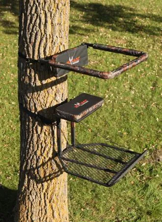 Scaffold Outriggers View