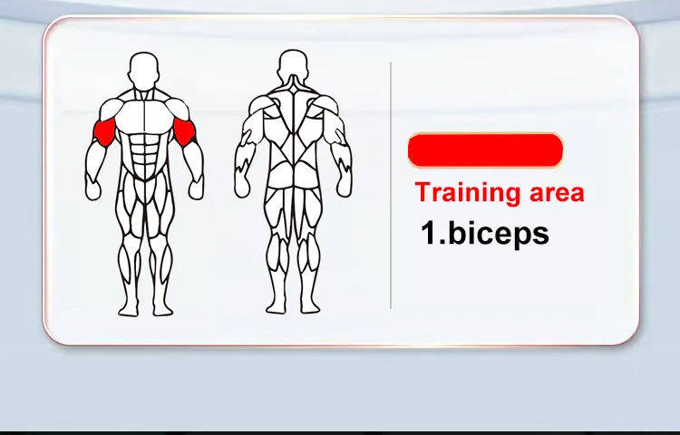 Gym Equipment Detail