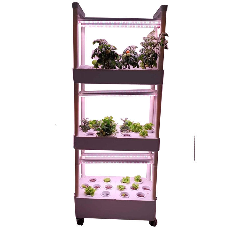 Multi Layer Indoor Hydroponic Shelf System for Home Lettuce and Herb Growing
