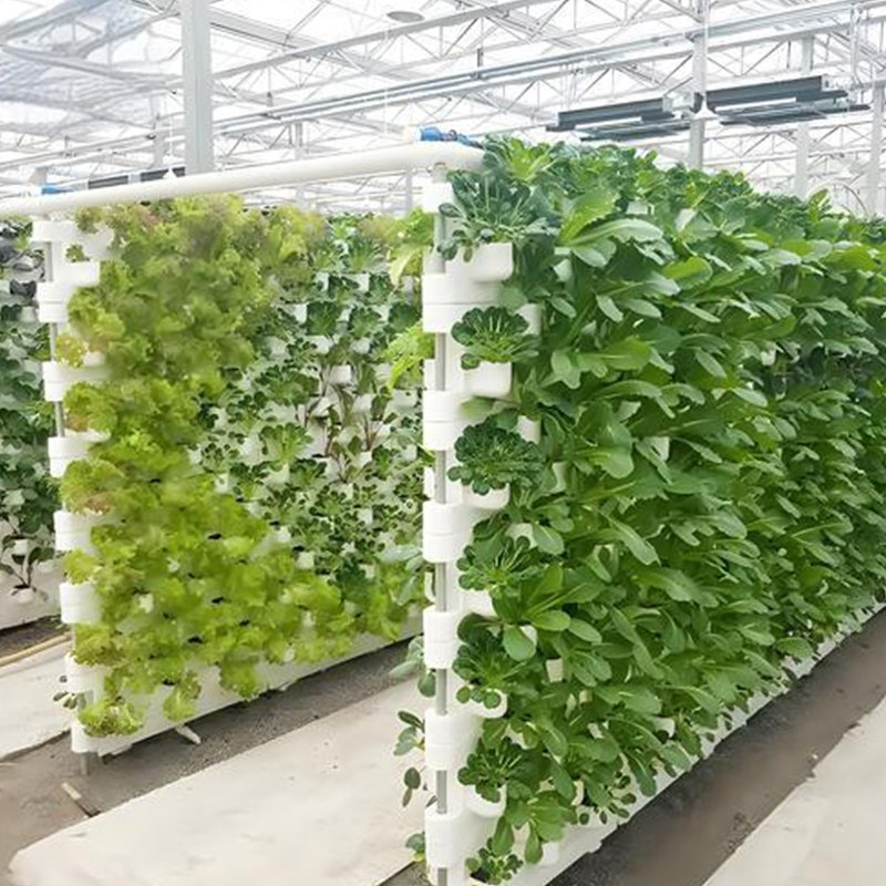 Hydroponics System Nft Channel Rack for Lettuce and Herbs Hydroponic System