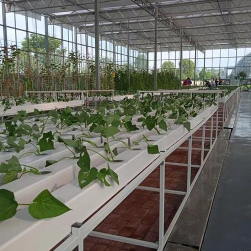 Commercial Greenhouse Hydroponics Racking System for Vegetables Hydroponic System