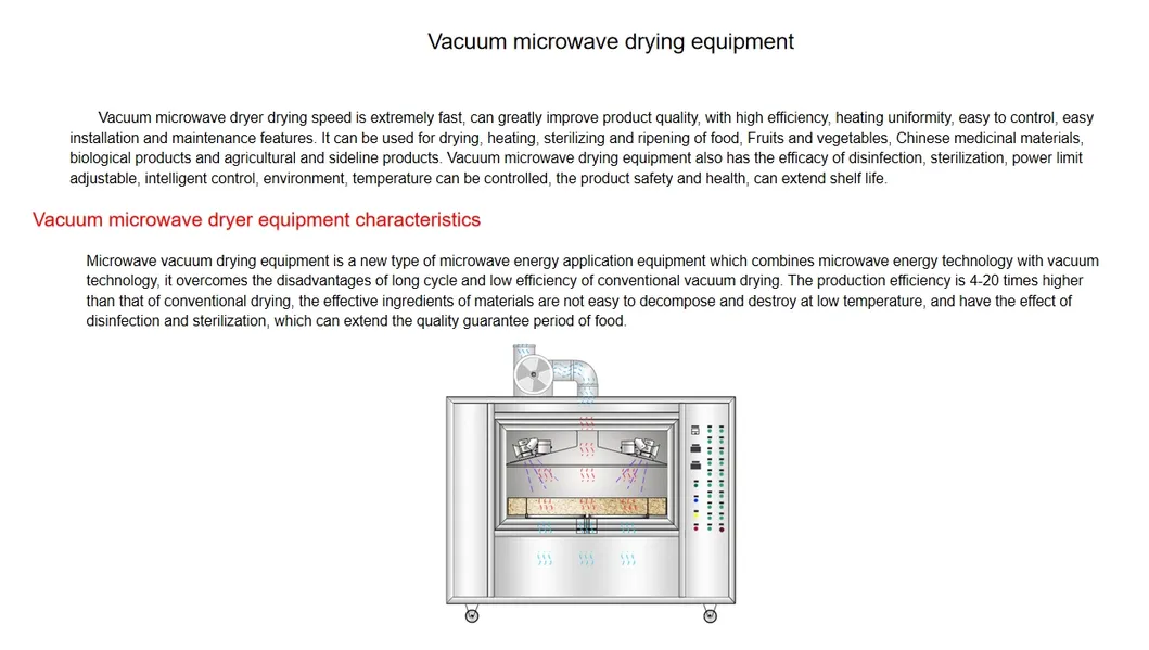 Fluid Bed Dryer System