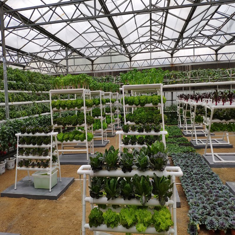 Smart Vertical Grow Rack Hydroponics System for Greenhouse Use Hydroponic System