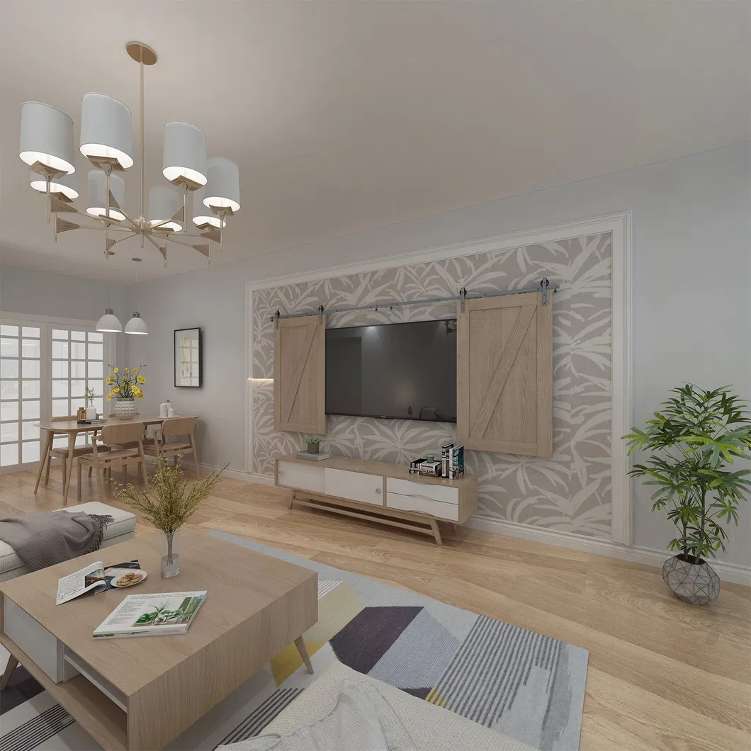 Sliding Door System 6