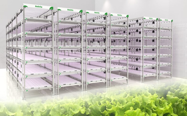 Reinfa Hydroponics System Nft Technology - Modular Vertical Grow Racks + Full-Spectrum LEDs for Commercial Farms
