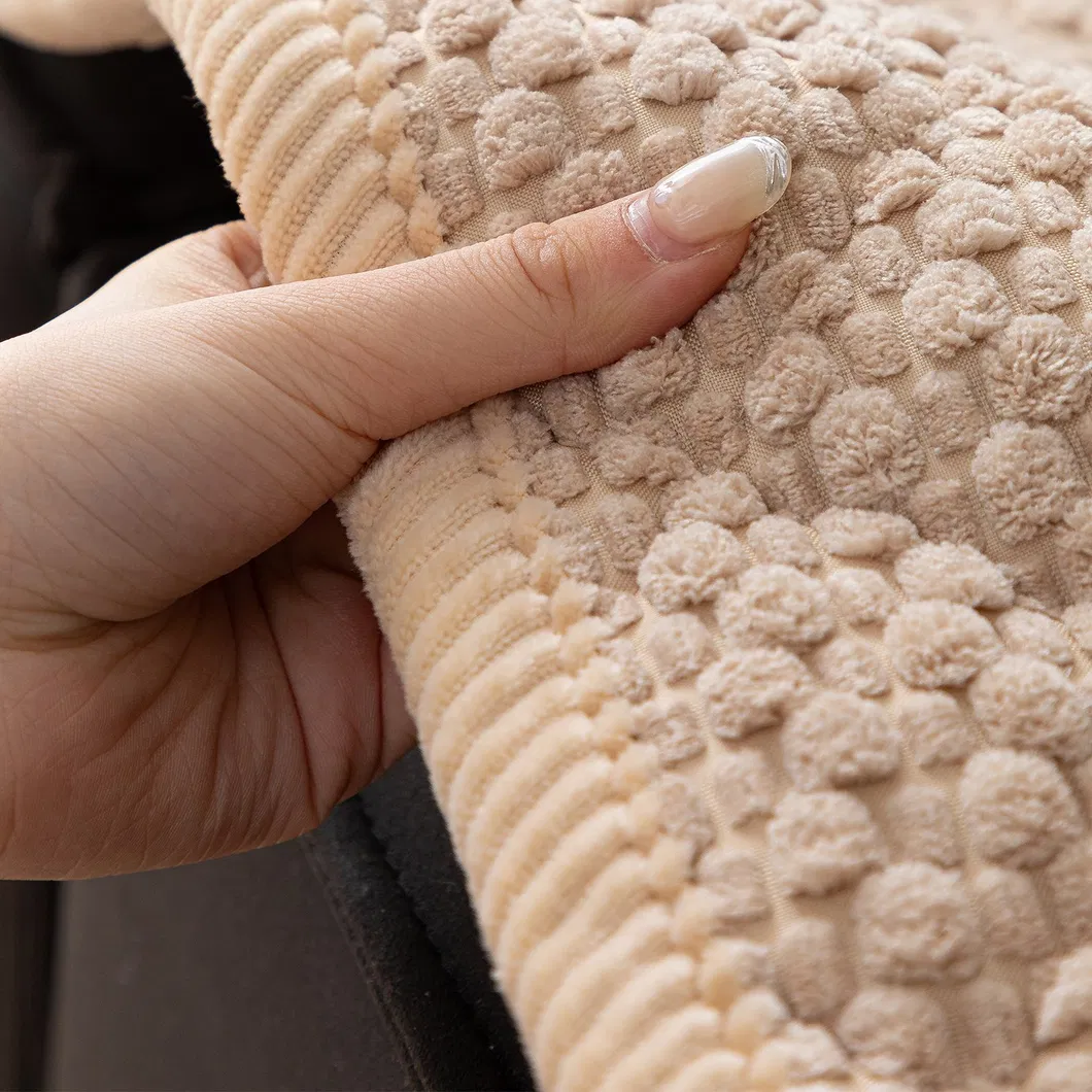 Sofa Cushion Detail 2