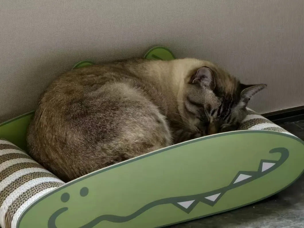 Cat Scratching Post Detail 11