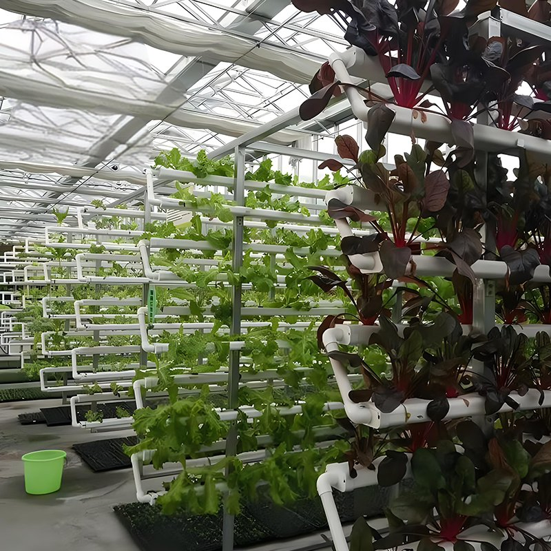 Commercial Greenhouse Hydroponics Racking System for Vegetables Hydroponic System
