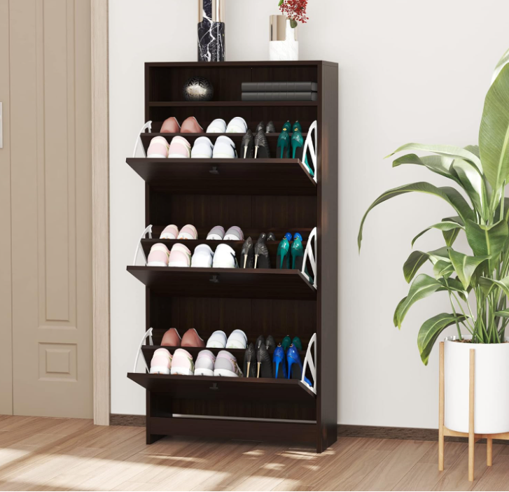 Chic Footwear Storage Solution with Fashion-Forward Shoe Organizer Style