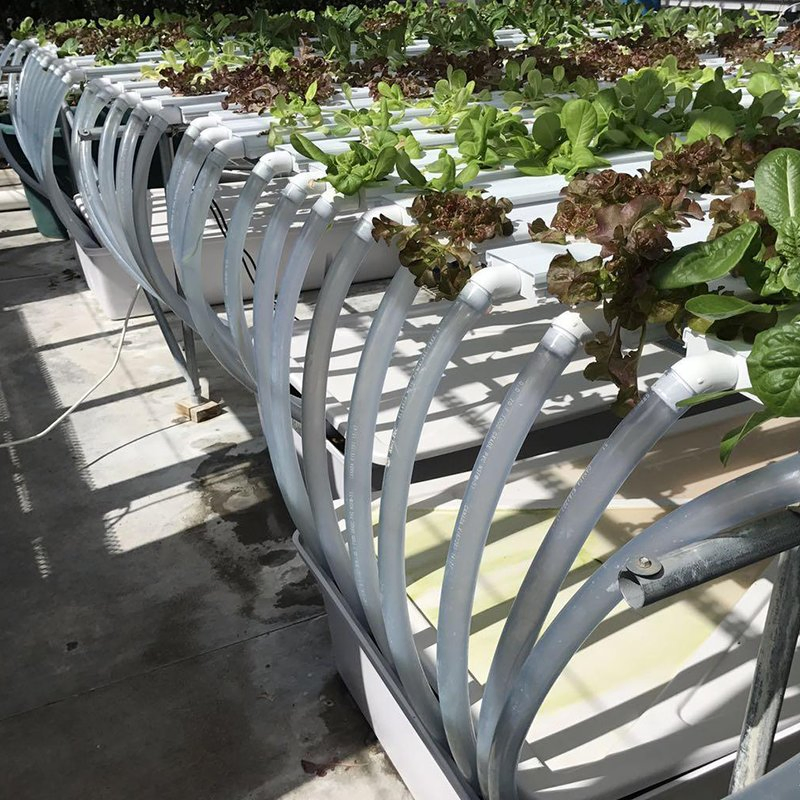 Smart Vertical Grow Rack Hydroponics System for Greenhouse Use Hydroponic System