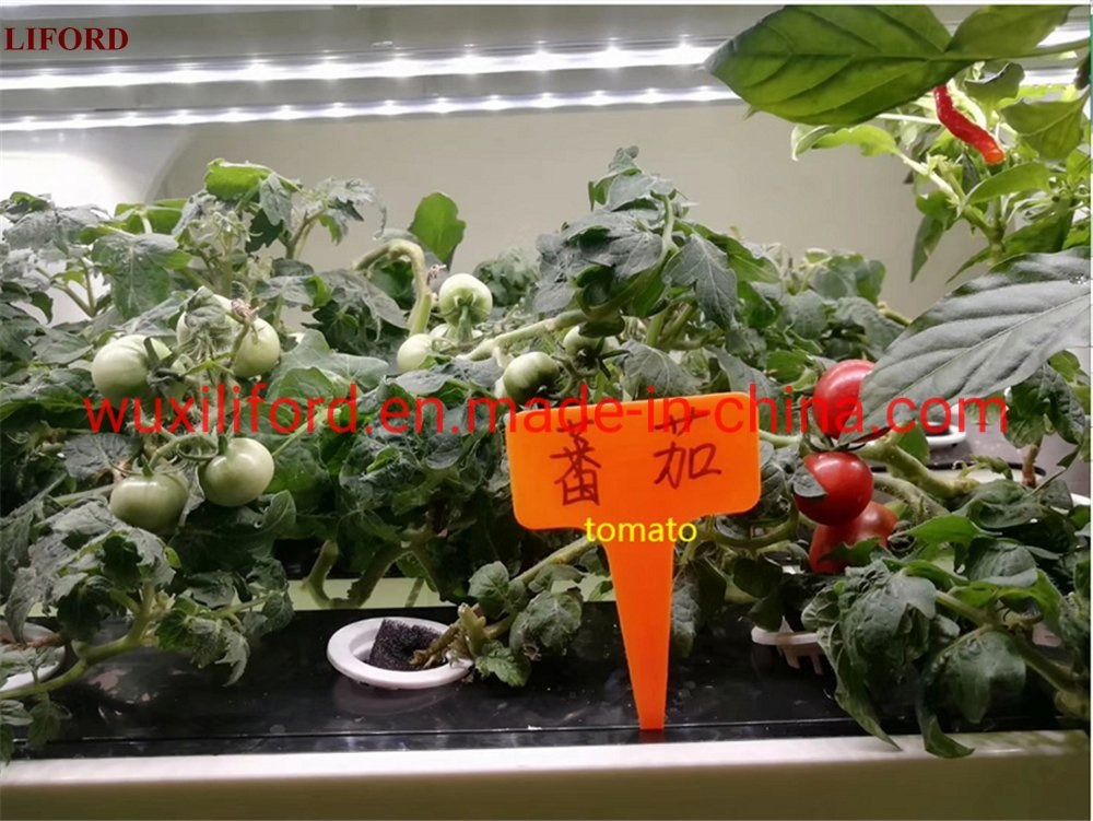 Indoor Home Gardening 5 Shelves Herb Hydroponics Growing System Kitchen