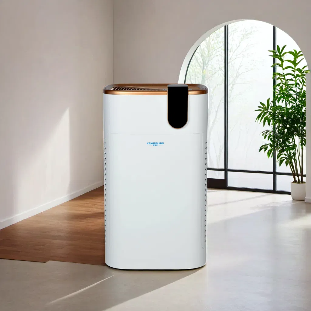 Advanced Home Air Quality System for Elderly Comfort for Living