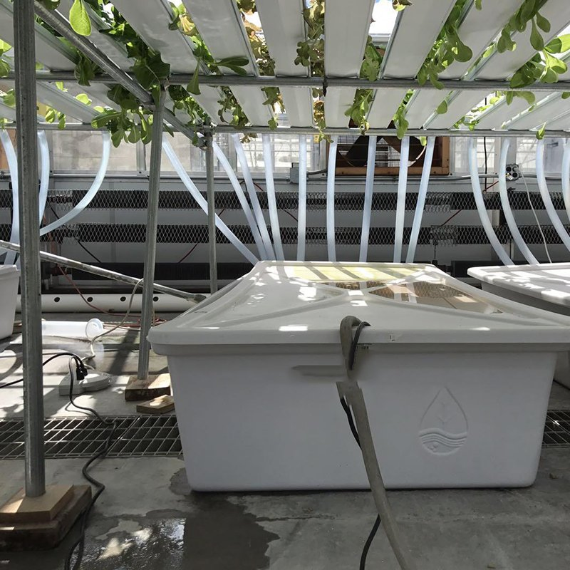 Commercial Greenhouse Hydroponics Racking System for Vegetables Hydroponic System