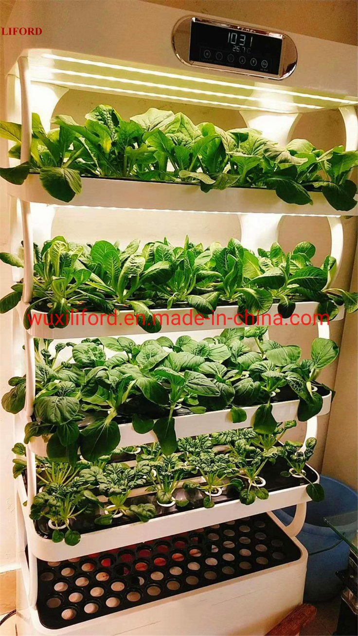 Indoor Home Gardening 5 Shelves Herb Hydroponics Growing System Kitchen