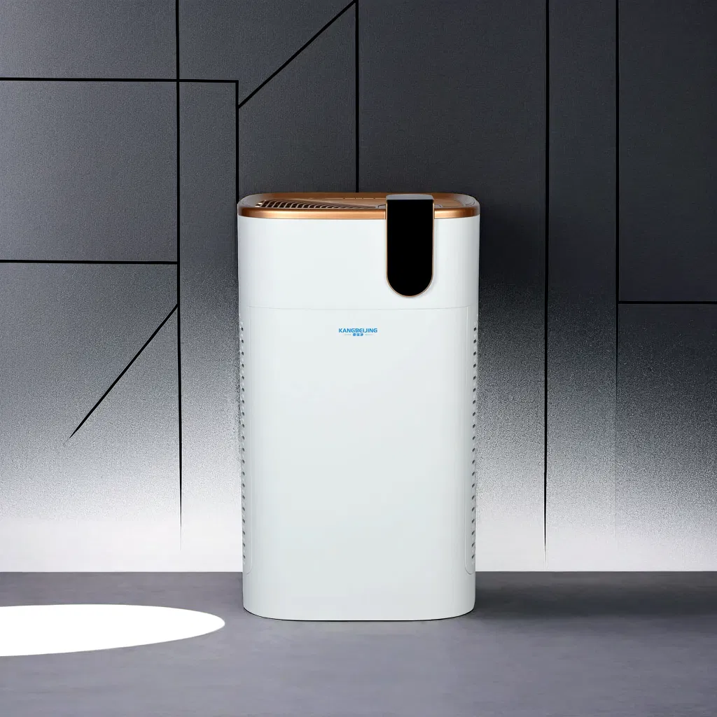 Advanced Home Air Quality System for Elderly Comfort for Living