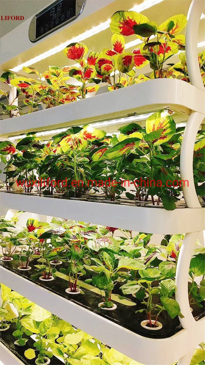 Indoor Home Gardening 5 Shelves Herb Hydroponics Growing System Kitchen