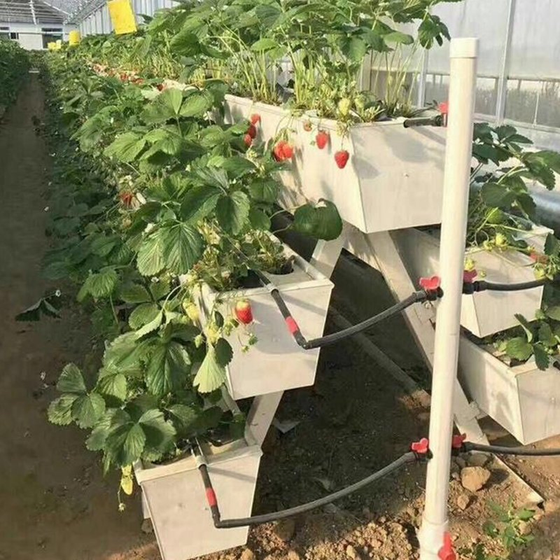 Smart Vertical Grow Rack Hydroponics System for Greenhouse Use Hydroponic System