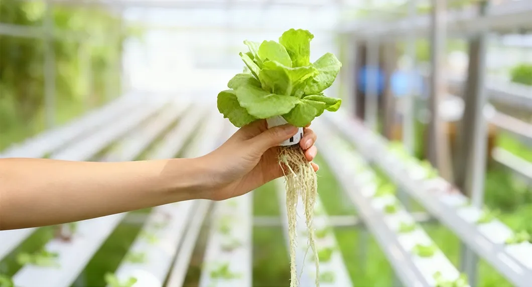 Smart Vertical Grow Rack