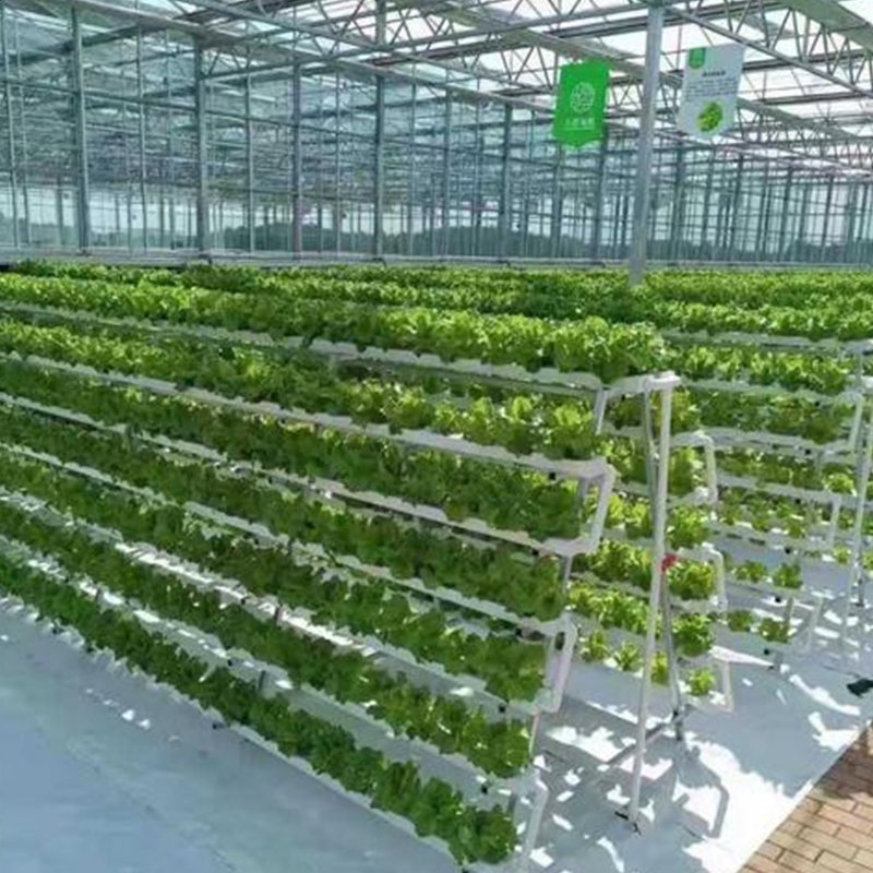 Hydroponics System Nft Channel Rack for Lettuce and Herbs Hydroponic System